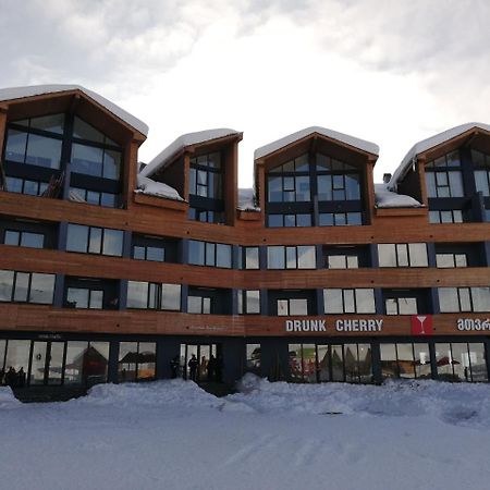 7 Senses Apartment New Gudauri Exterior photo